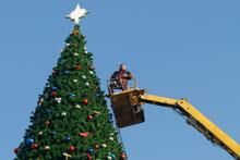 21 декабря 2011: новая новогодняя ель в Калининграде