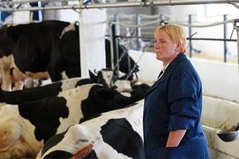 Большинство молочных ферм области работают на грани рентабельности