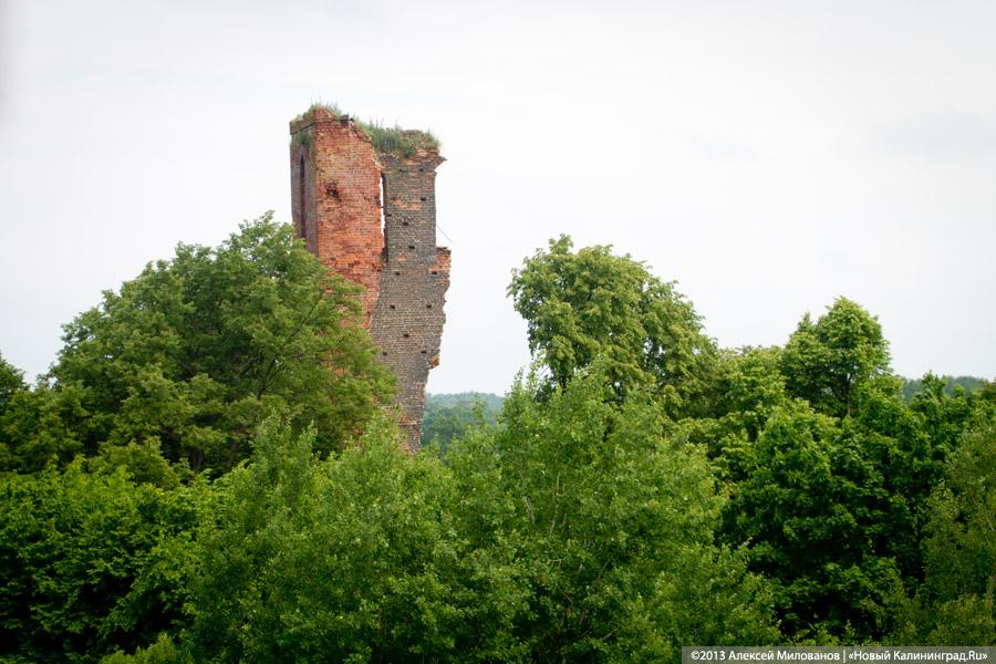 Черепки и воронки: «черные копатели» регулярно разграбляют руины кирхи в Корнево