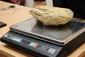 В Янтарном нашли самородок весом в 2,172 кг 