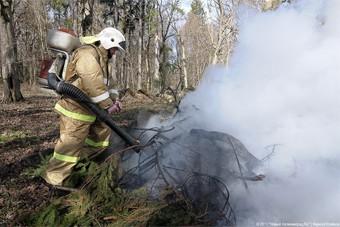 МЧС: с начала сезона в Калининградской области сгорело более 500 гектаров травы