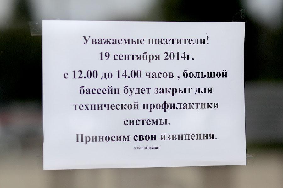 50 метров кролем: мэр Калининграда сдал одну из норм ГТО