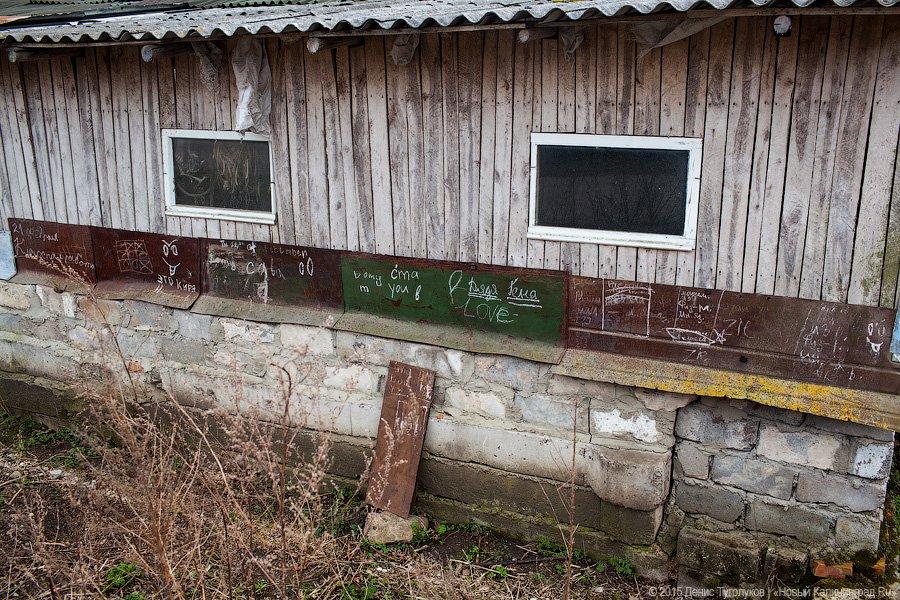 «Тут развалили все и на кирпич продали»: поселок Веселовка после шумихи