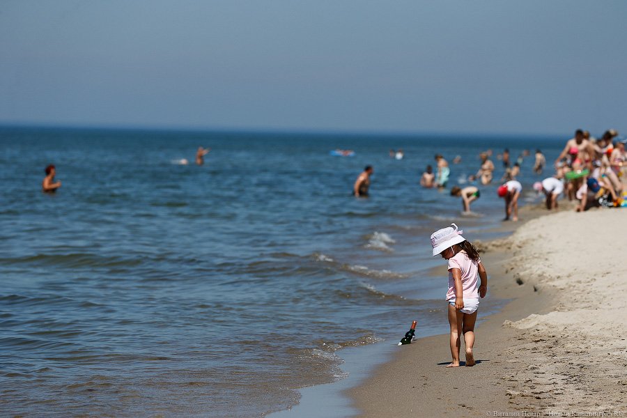 Под флагом голубым: как выглядит этим летом пляж Янтарного (фото)