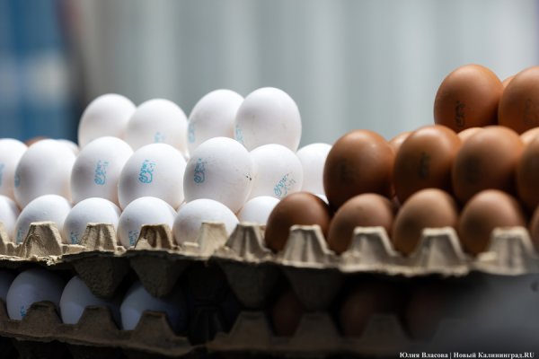 Прокуратура объявляла предостережения производителям яиц в регионе