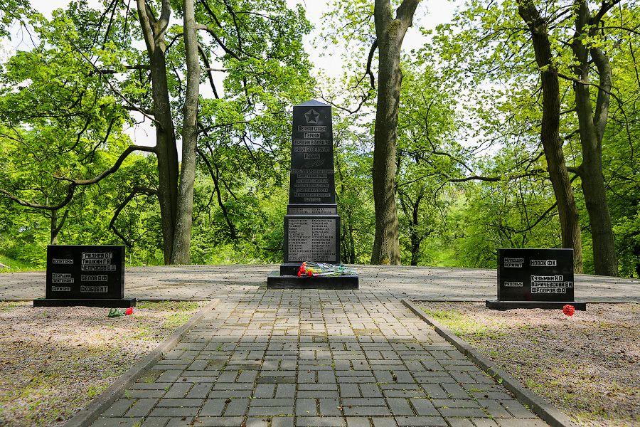 Тишина и память: почему Парк Победы не похож на парк