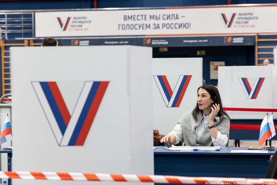 Винярская назвала число выехавших за рубеж россиян, голосовавших на границе