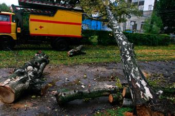 Последствия непогоды: в городе повалено 39 деревьев, повреждена крыша дома 