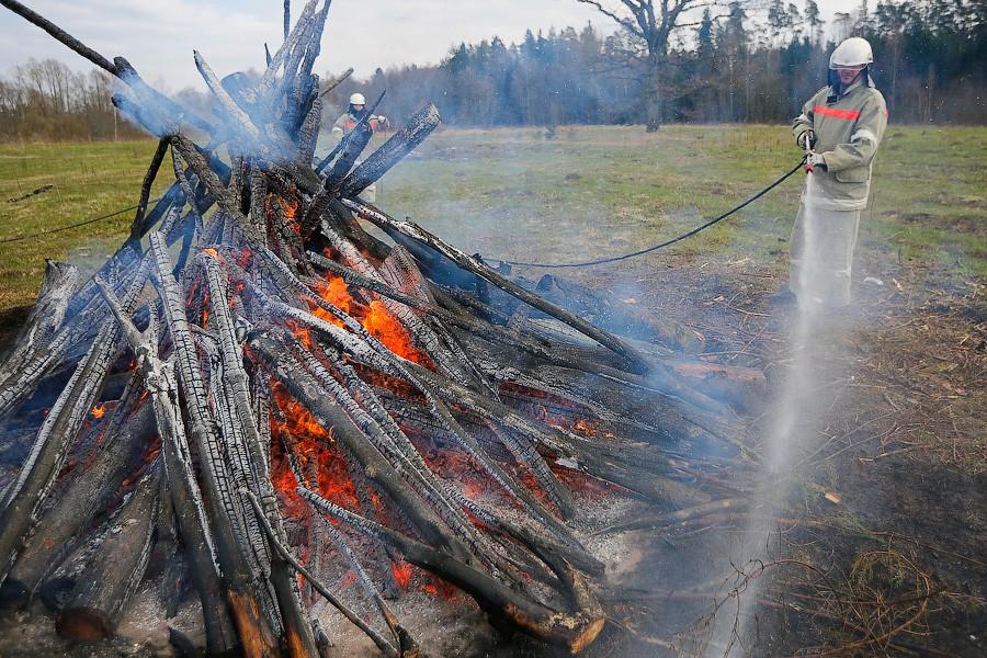 Пожарная тревога: как тушат леса в Калининградской области