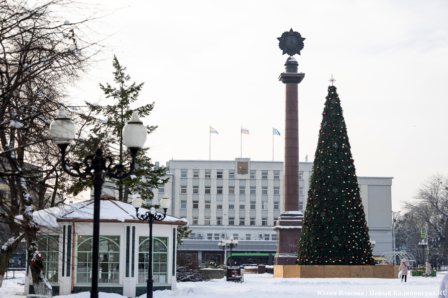 Символ без праздника: на площади Победы установили главную городскую ёлку (фото)
