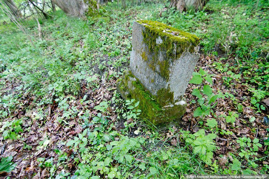«Если вас это так волнует...»: у руин кирхи в Чехово раскопано немецкое кладбище