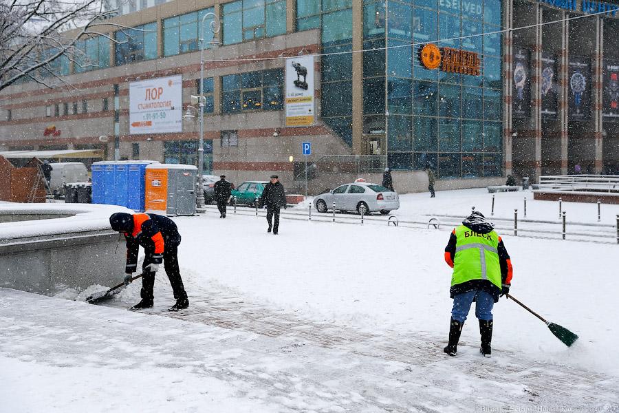 Снег проблем: в «Чистоте» рассказали, что им мешает содержать город в порядке