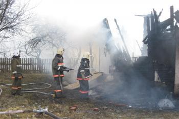 В Зеленоградском районе огонь уничтожил пчелиные ульи