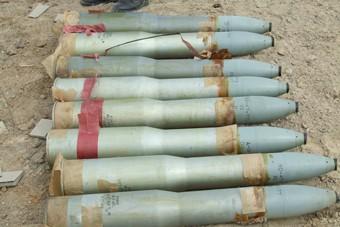 Полиция: калининградец хранил крупный склад боеприпасов времен ВОВ в лесу