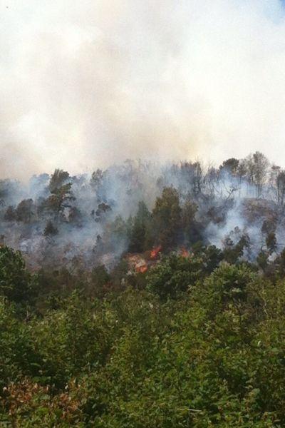 На Куршской косе горит лес около пос. Морское, на место вылетели вертолёты (дополнено, фото, видео)