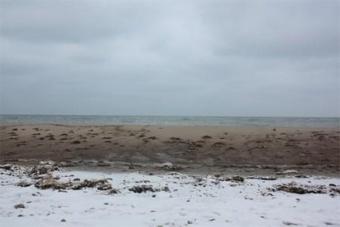 Администрация нацпарка: на пляжи Куршской косы возвращается песок