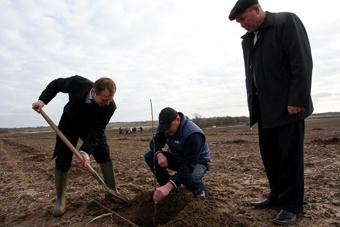 Зарудный: на поддержку садоводства в Калининградской области заложено 10 млн рублей