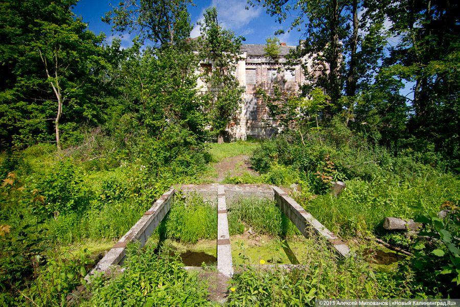 Остатки роскоши прусского барокко: усадьба в Рощино в проекте «Пустые дома»