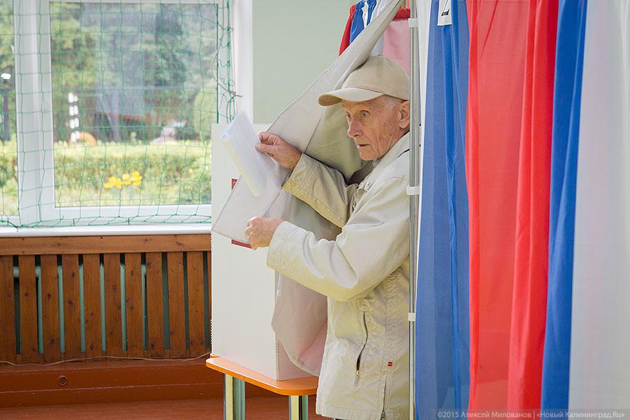 Спрос под стать предложению: как прошёл день голосования в Калининграде