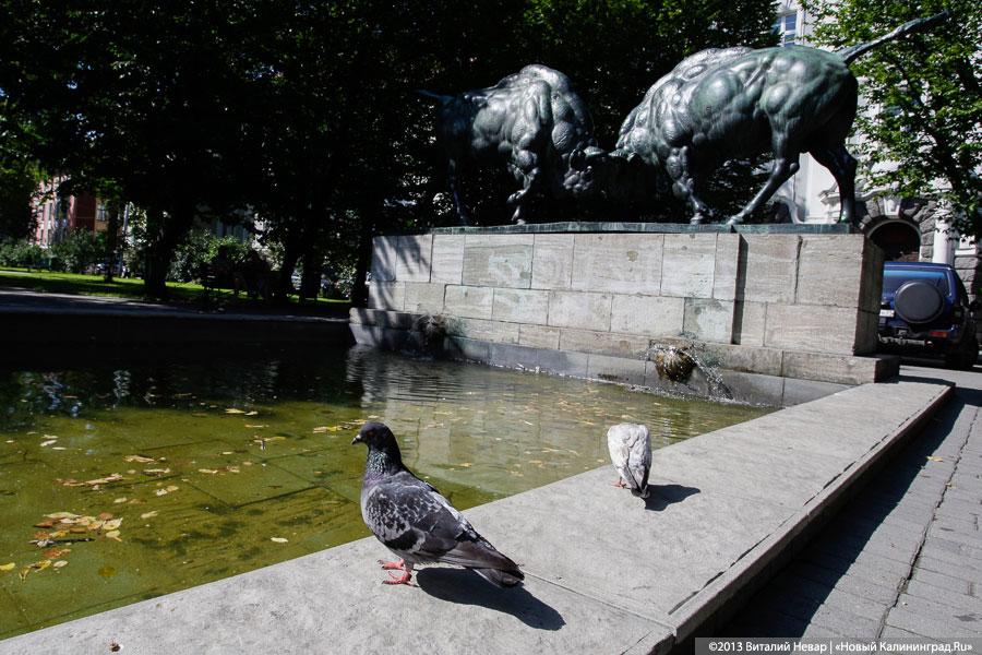 За ВДВ: Обзор калининградских фонтанов