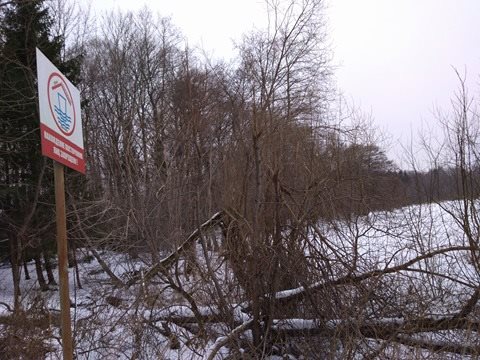 «Масштабная экокатастрофа»: что известно о разливе нефтепродуктов в Переславском