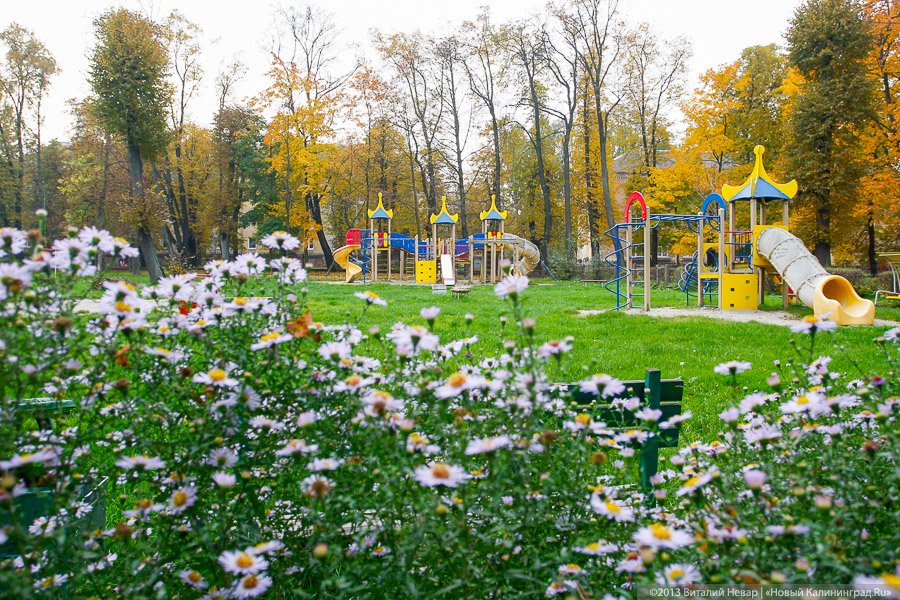 Центральный парк культуры арендовал «Кенгуру» за 5,7 млн рублей