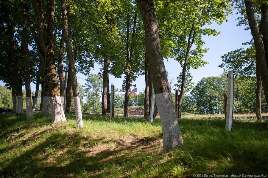 С легендами и зоопарком: форт Дёнхофф под Калининградом открылся для туристов
