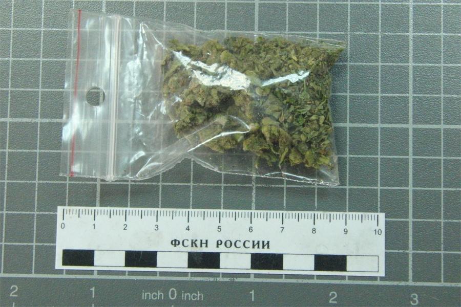 УФСКН: в Калининграде похоронный агент продавал наркотики, разъезжая на катафалке