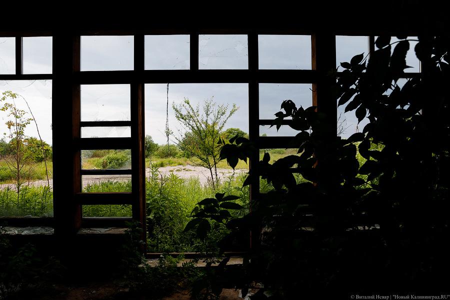 Страх и безысходность в де Толли: жизнь старинной усадьбы под Черняховском