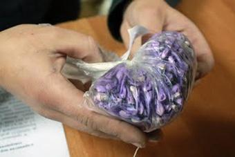 Пассажир «Мерседеса» съел свертки с наркотиками в присутствии инспекторов ДПС