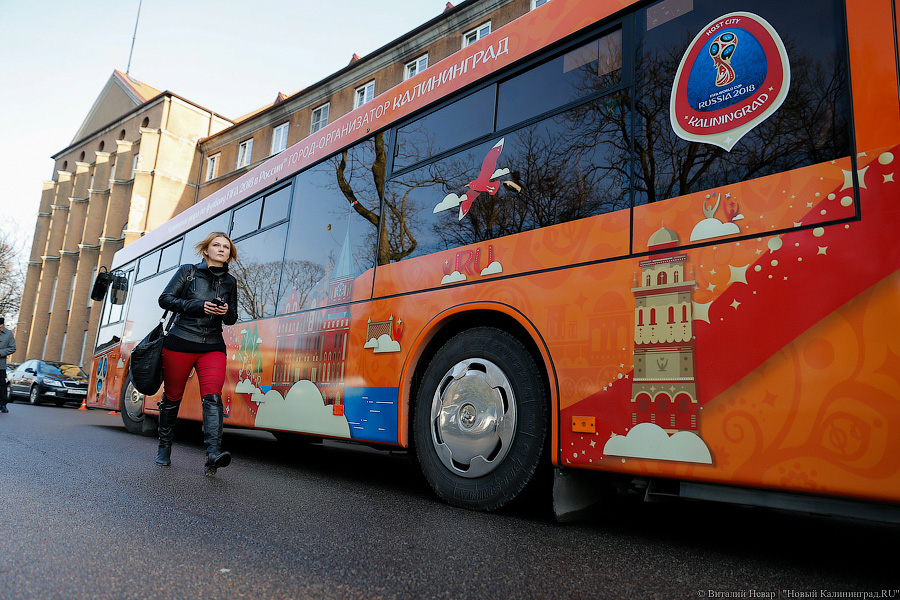 Верхом на трёхглазой змее: на калининградские автобусы нанесли символику ЧМ
