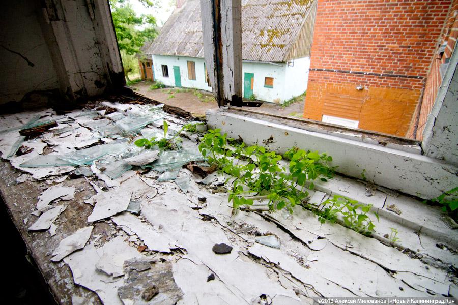 Конец Чехоши: школа поселка Чехово в фотопроекте «Пустые дома»