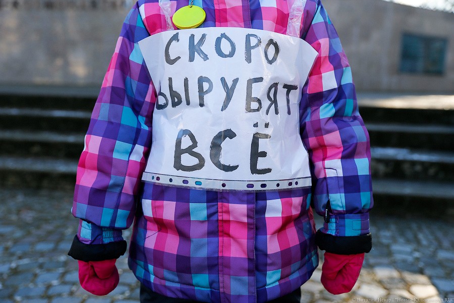 «Город-пень»: в Калининграде прошёл митинг против вырубки деревьев 