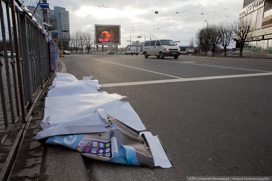 Летающий цирк: последствия урагана в Калининграде (фото)