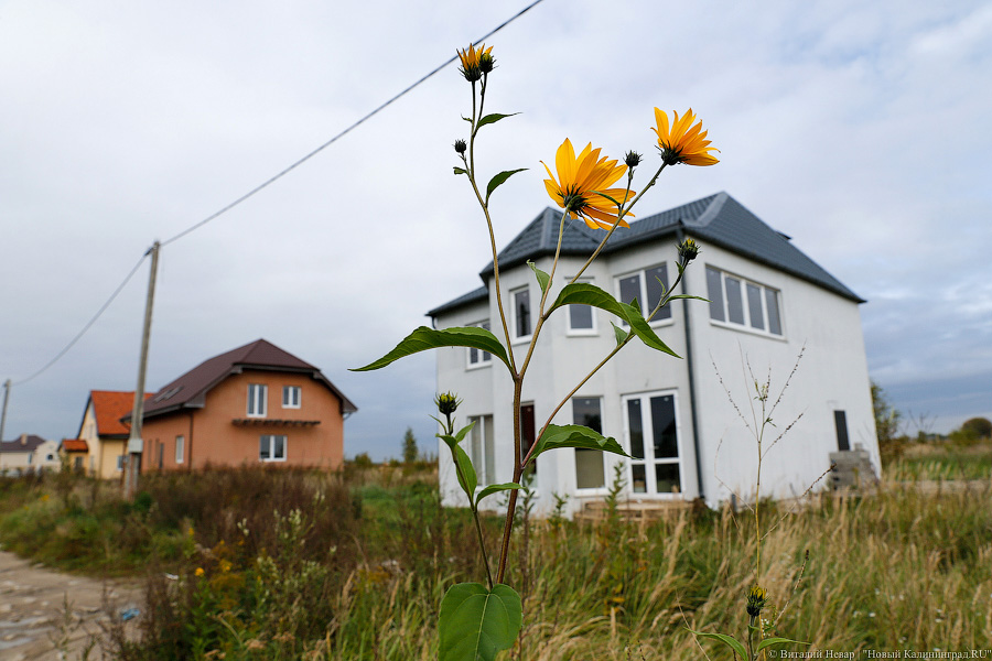 Дома, которые приставы требуют снести. Фото — Виталий Невар, «Новый Калининград.Ru».