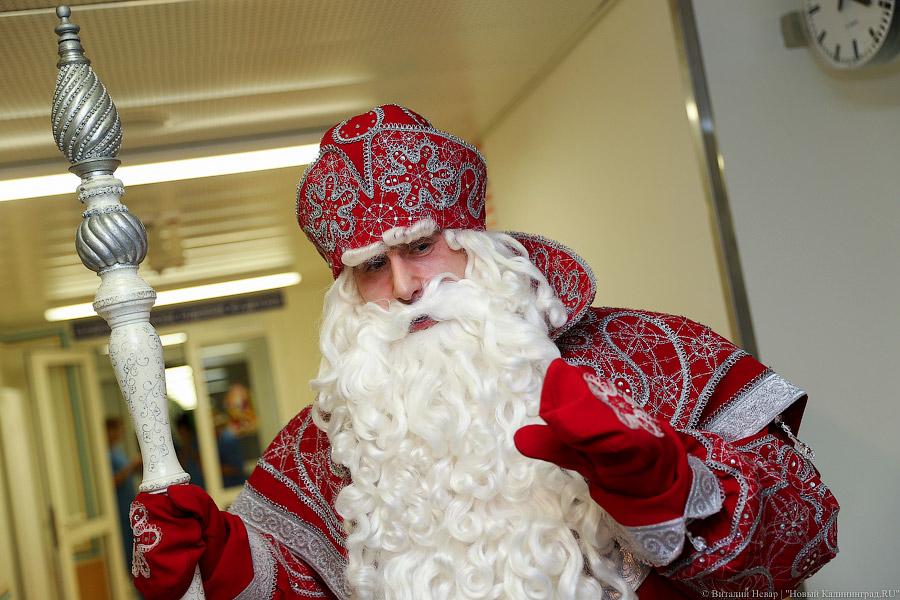 «Общероссийский» Дед Мороз приедет в Калининград