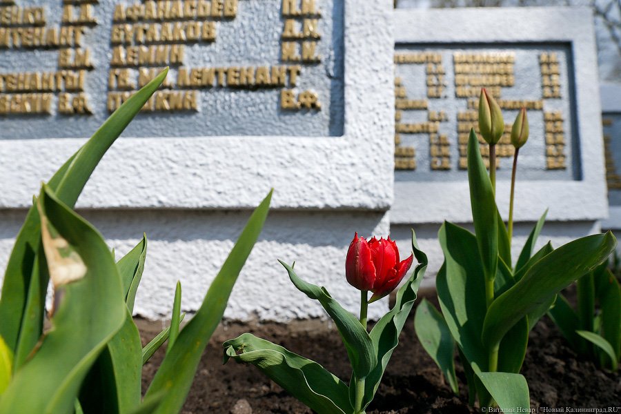 Имитация Вечного огня: что происходит с мемориалами под Калининградом