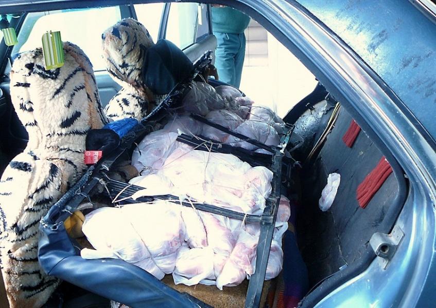 На границе задержана калининградка, пытавшаяся ввезти из Польши 410 кг мяса (фото)