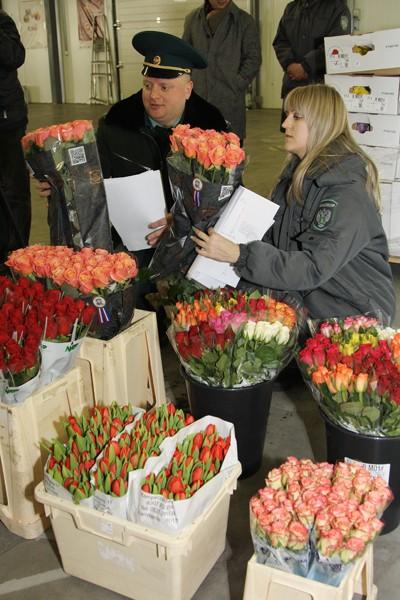 Продавцы цветов запаслись к 8 Марта полутора миллионами роз (фото)