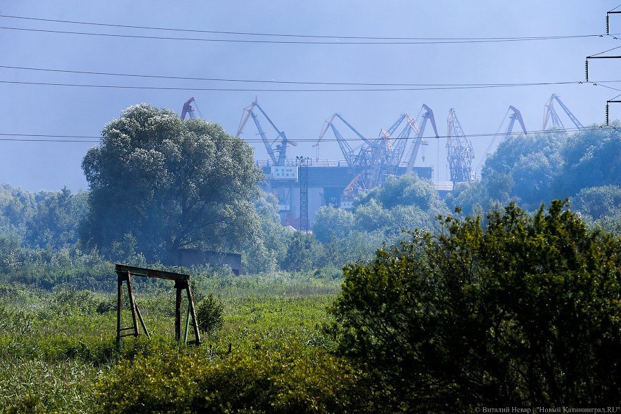 «Пламя из недр»: что происходит на горящих короотвалах в Калининграде (фото)