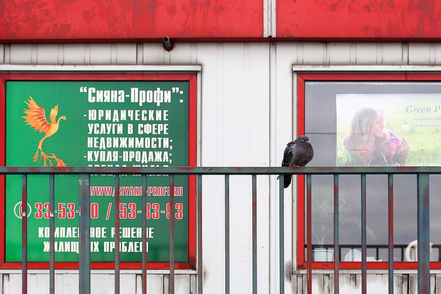 Падение «Старой башни»: как мэрия Калининграда поддерживает малый бизнес