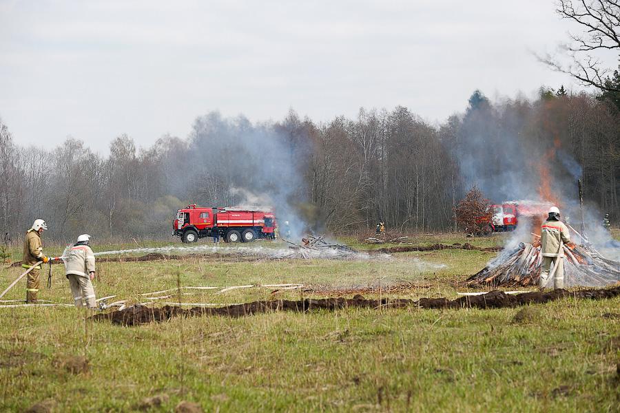 Пожарная тревога: как тушат леса в Калининградской области