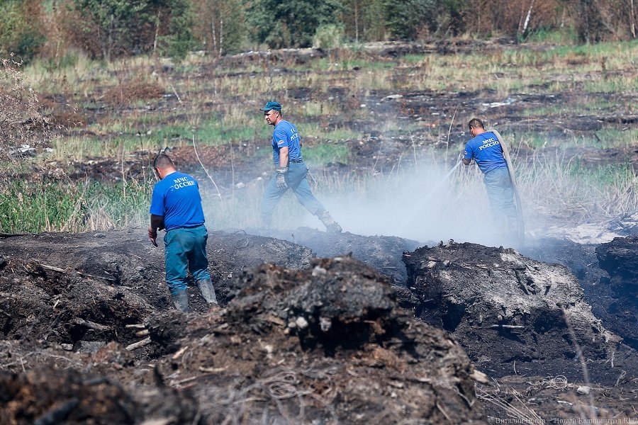 «Пламя из недр»: что происходит на горящих короотвалах в Калининграде (фото)