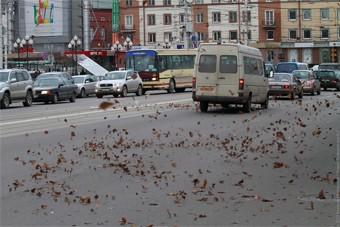 Метеорологи прогнозируют усиление ветра в Калининграде