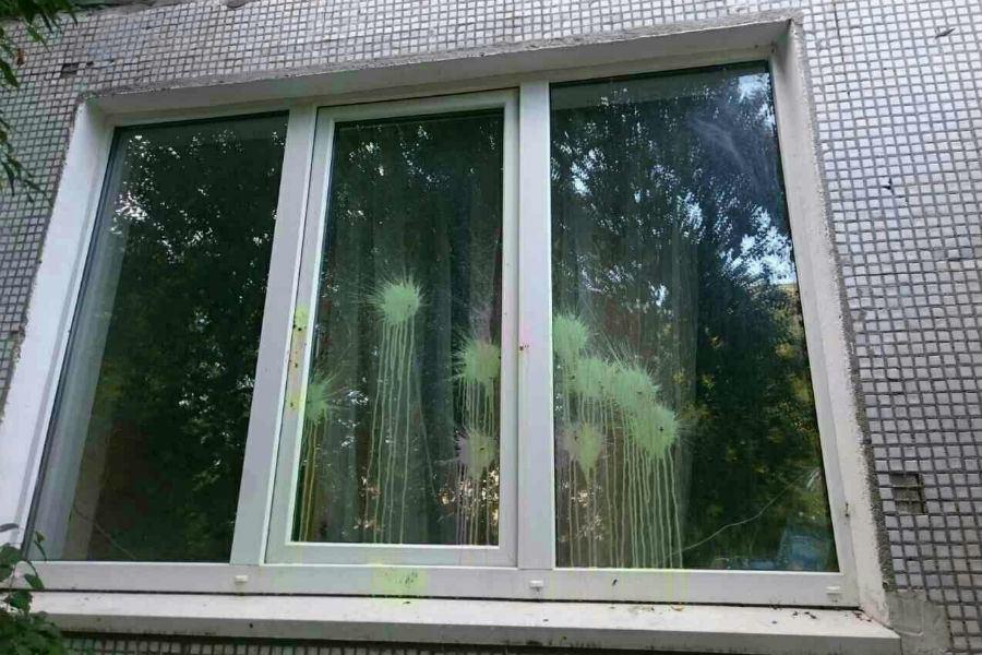 Окна координатора штаба Навального расстреляли из пейнтбольного ружья
