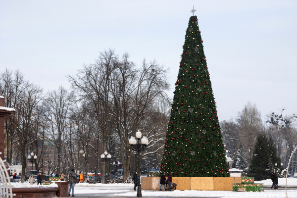 Символ без праздника: на площади Победы установили главную городскую ёлку (фото)