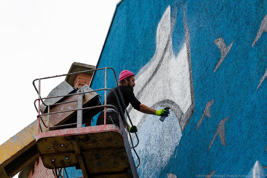 Вежливые люди и котик: судьба политического граффити о Крыме в Калининграде