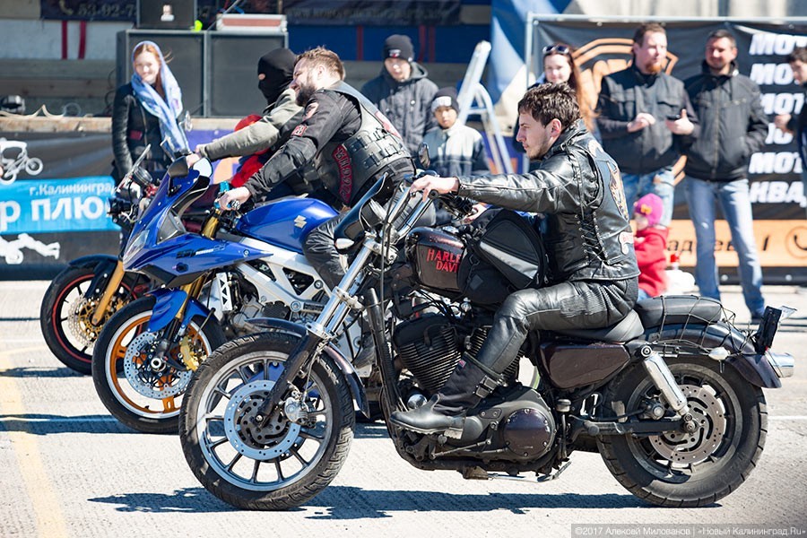 В Калининграде пройдет международный фестиваль мотоциклов Harley-Davidson