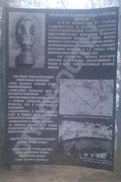 В калининградском транспорте появились листовки против добычи соли в Нивенском