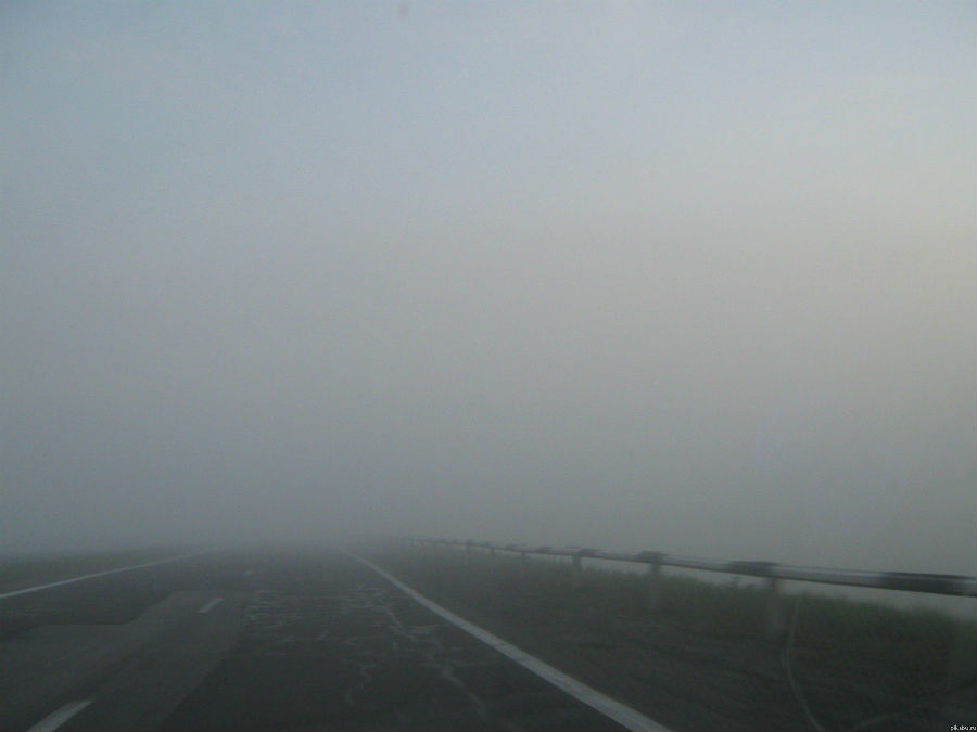 Автомобилисты сообщают о густом тумане в Калининградской области (фото)